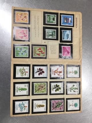 El sello español.. ediciones kisa.