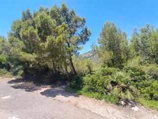 Terreno en venta en Alcalà de Xivert pueblo en Alcalà de Xivert