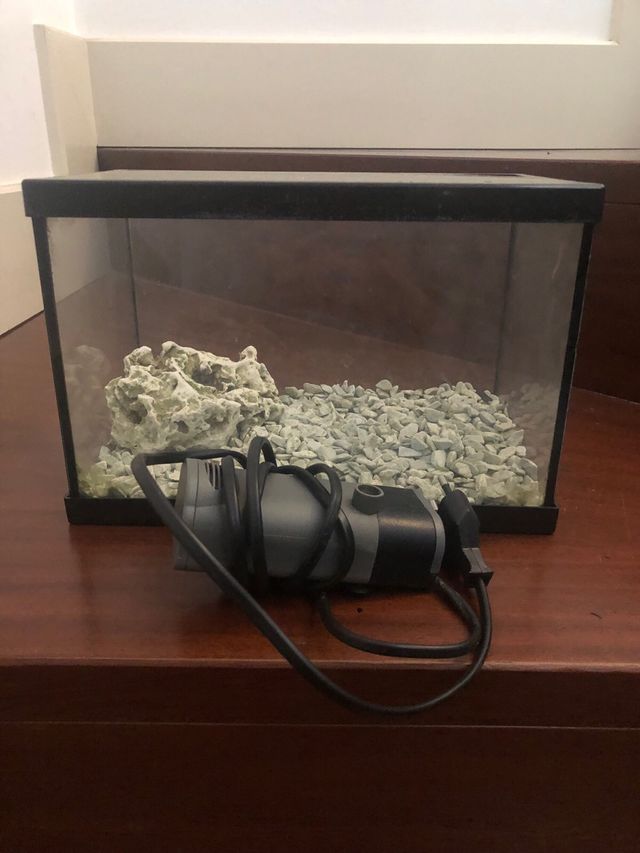 Acuario pequeño
