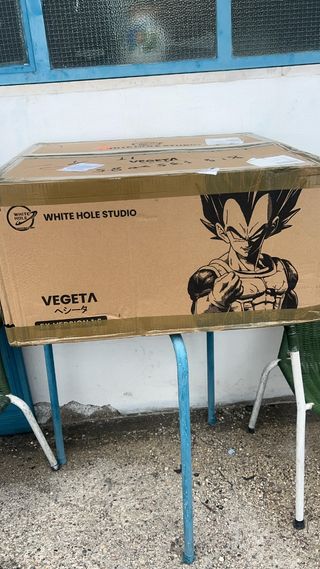 Figure resin vegeta