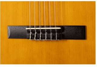 Guitarra Clásica Rocío R20. Funda Afinador Cejilla