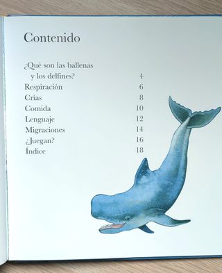 Libro infantil: Delfines y Ballenas