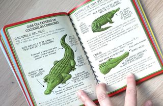 Libro infantil: Animales salvajes