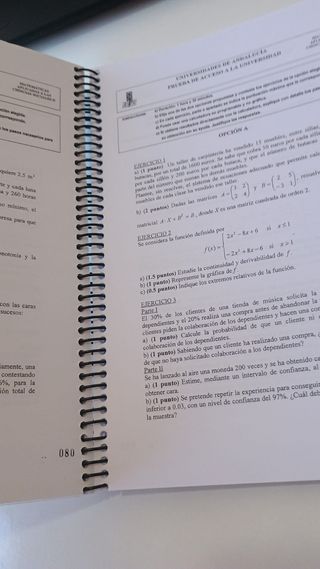 Matemáticas Selectividad CCSS -Libro de ejercicios