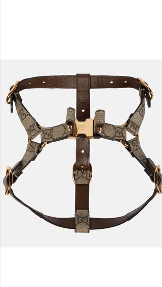 Arnés perro talla S/M marca Gucci