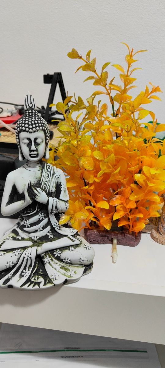 Pecera de 55 litros y todos los adornos adquiridos