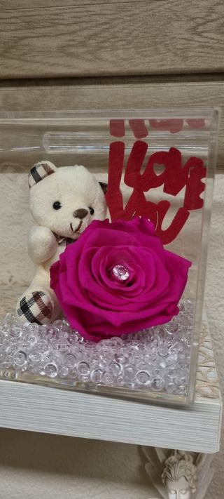 ROSA STABILIZZATA + PELUCHE