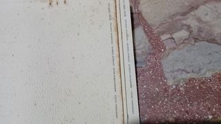 Ritratti a carboncino Tarantino