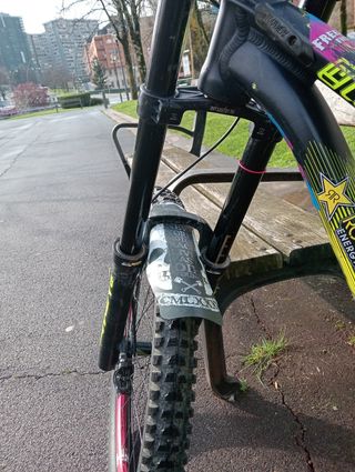 Bici de descenso 