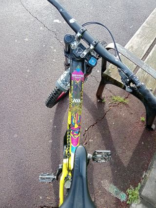 Bici de descenso 