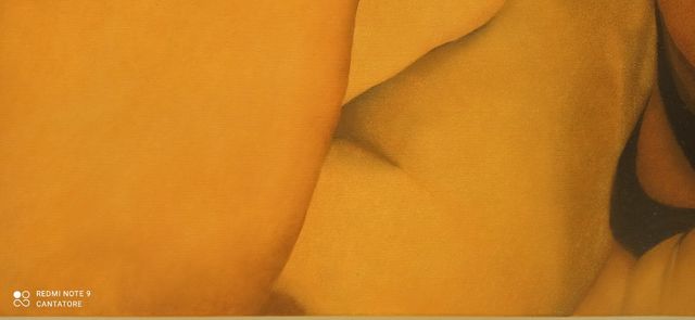 Quadro ritratto olio su tela