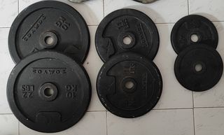 Juego de discos de pesas y barra dominadas
