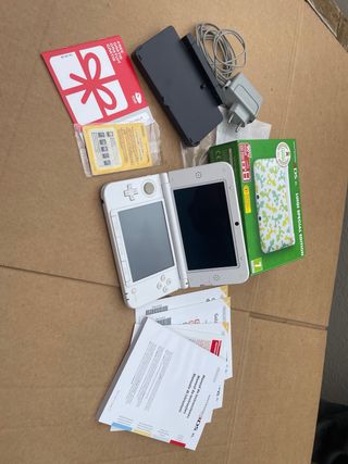 Nintendo 3DS luigi special edition