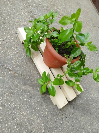 N. 2 Portapiantine in legno