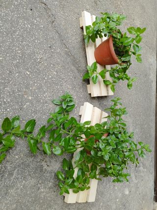 N. 2 Portapiantine in legno