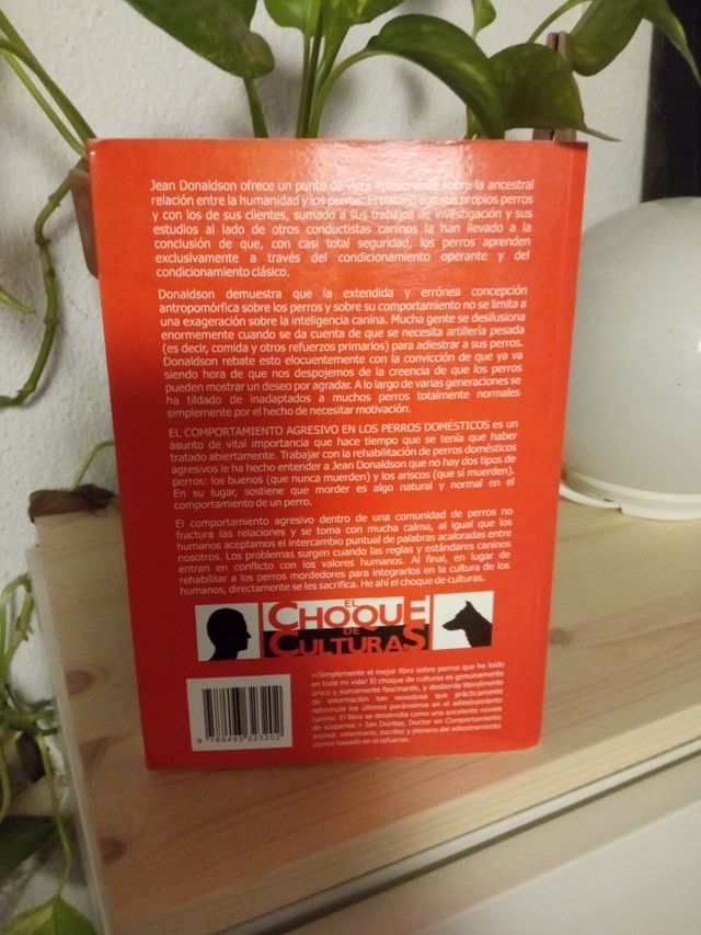 El choque de culturas