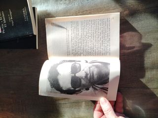 Los cachorros bajarse al moro y otro