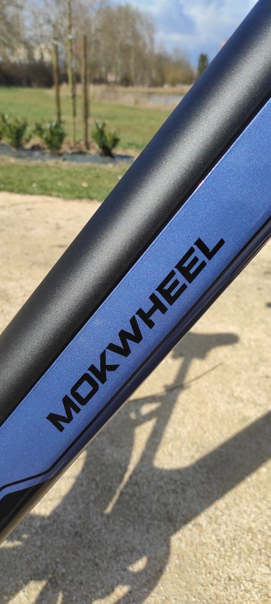 Bicicleta eléctrica MOKWHEEL 