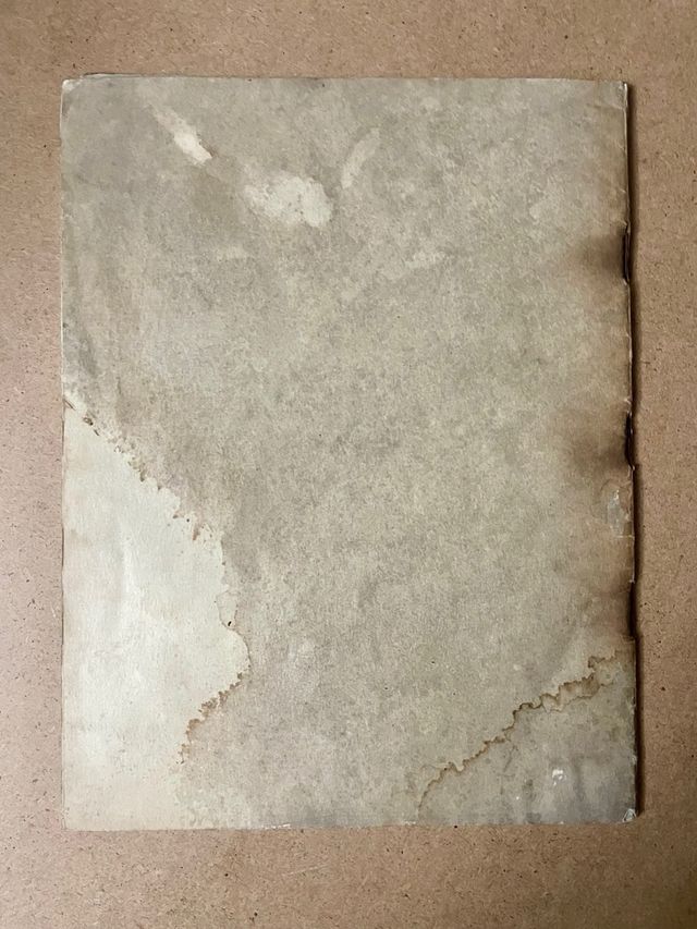 Cuaderno de Raemaekers