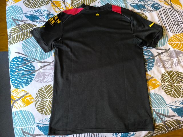 Camiseta futbol puma Manchester city