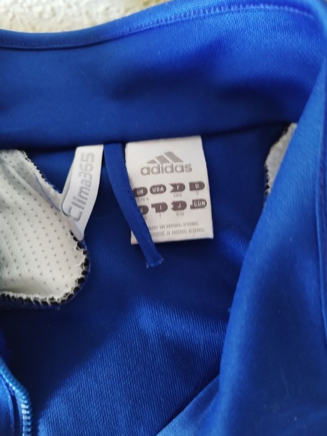 Chándal adidas Real Zaragoza