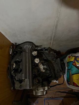 Motor