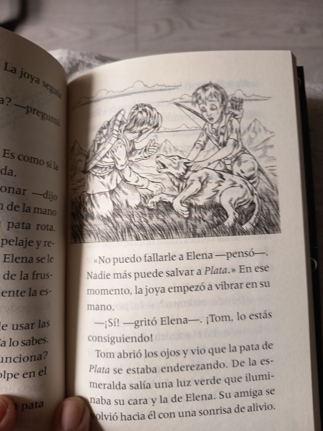 Komodo. El rey lagarto: Buscafieras 31 (Spanish Edition)