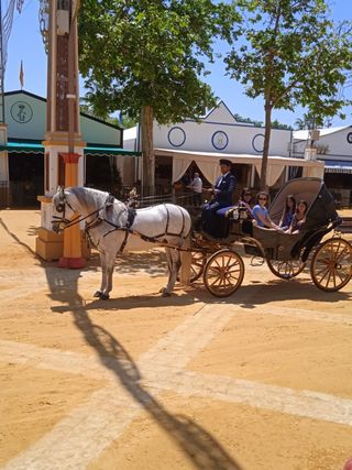 Alquiler de Coches de Caballos para Eventos