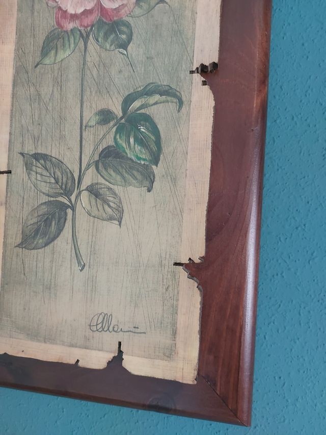 Cuadros de pared . Rusticos