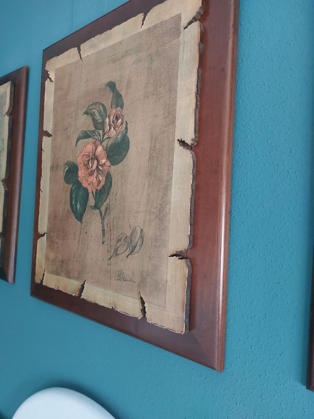 Cuadros de pared . Rusticos