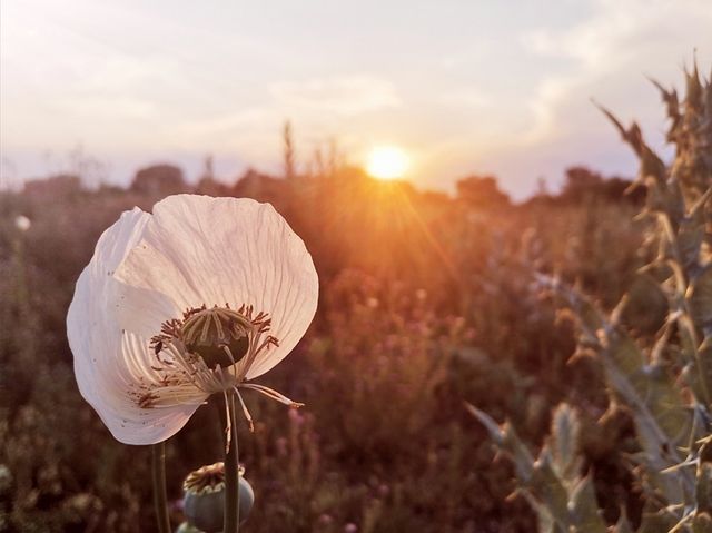 Fotografía sesiones y eventos.