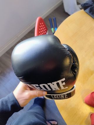  Guantes de boxeo 12 oz. Leone boxing gloves