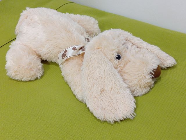 Peluche blandito perro