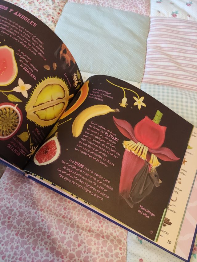 Libros divulgativos nuevos