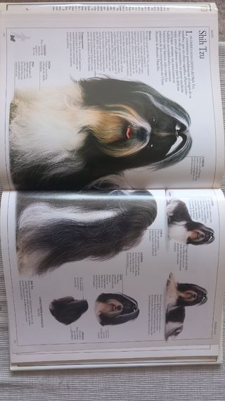 El gran libro del perro