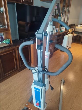 Grúa bipedestación