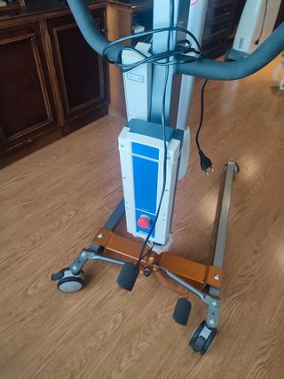 Grúa bipedestación