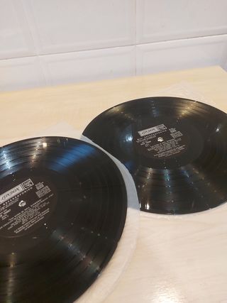 Doble Vinilo Neil Diamond : Éxitos