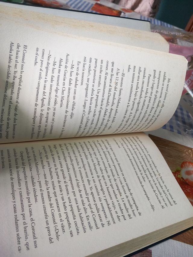 Buscando a Alaska (Spanish Edition)