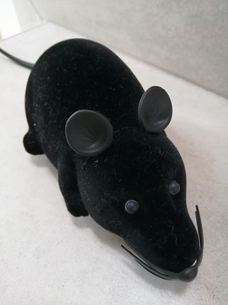 Giochi per gatto: topo, palline