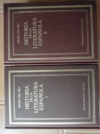 Historia de la literatura española