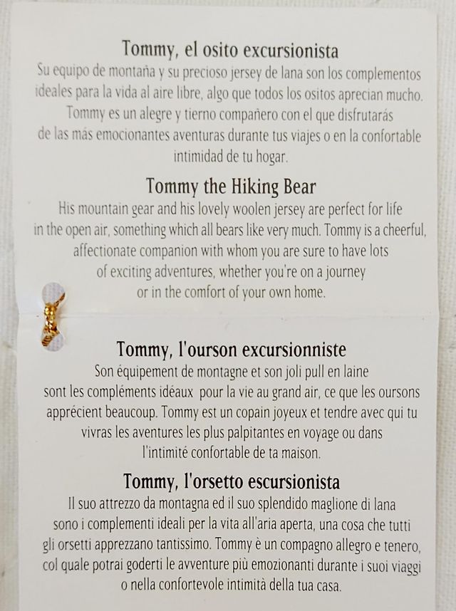 Tommy la piccola bambola escursionista