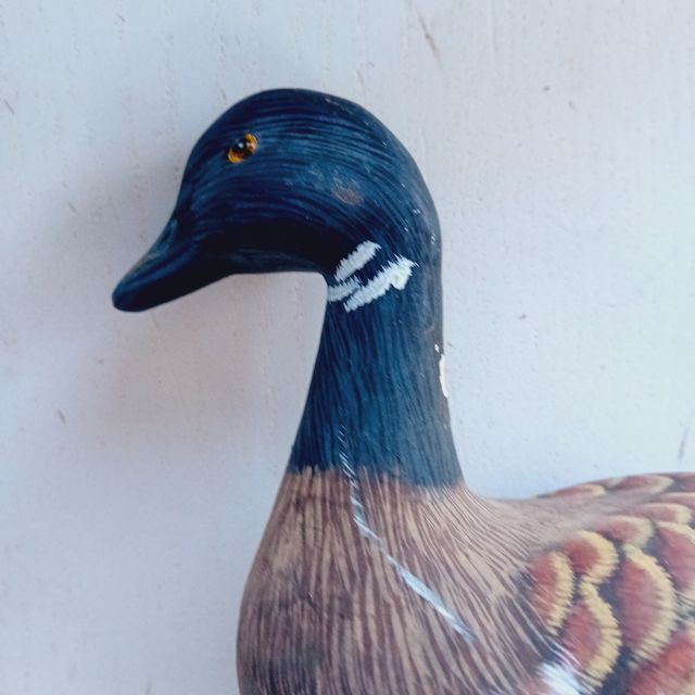 Anatra da richiamo in legno Canadian Goose su Stan
