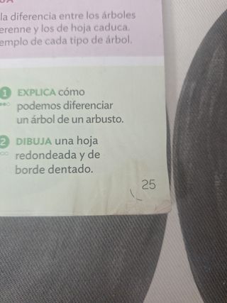 Ciencias de la Naturaleza 4 prim