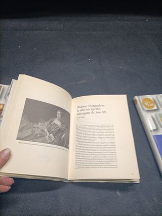 Lote de libros temática histórica 