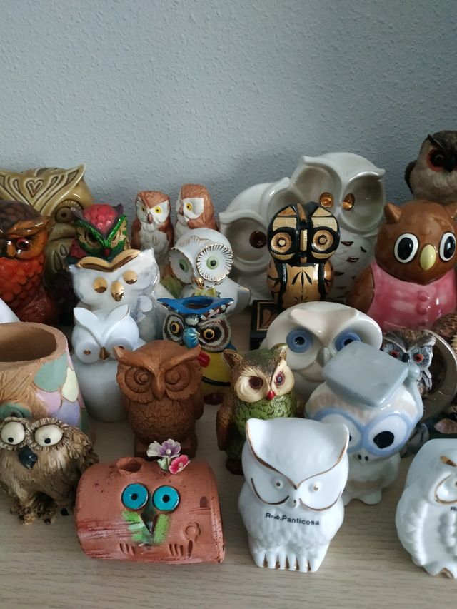 Colección de Búhos