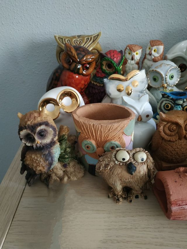 Colección de Búhos
