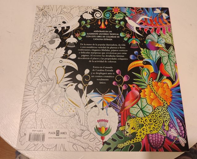 Libro para pintar mandalas