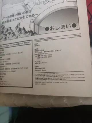 Guida Pokemon trading card game Jap 1999