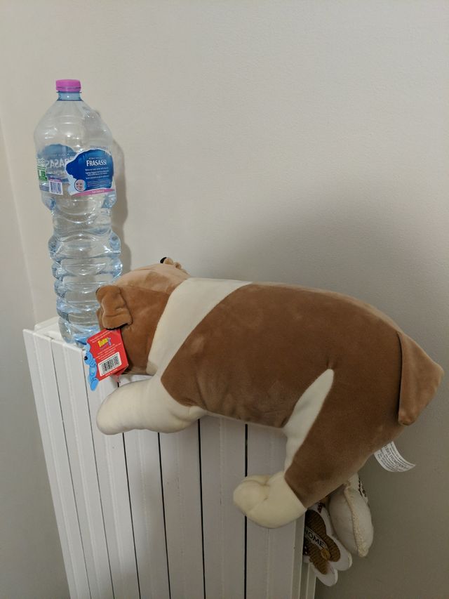 Peluche cagnolino morbidissimo